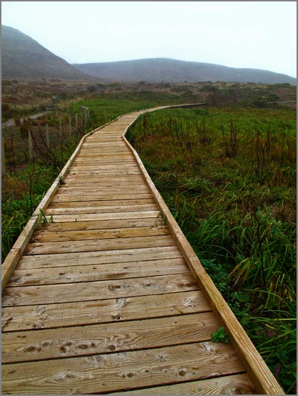 sm 090924.16 Abbots.jpg - The new boardwalk not only makes for easy walking, but provides close up views while protecting the flora.